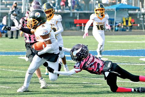 omyfo|berkley steelers.